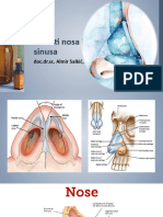 Bolesti Nosa I PNS