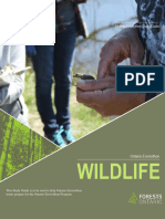 Wildlife Study Guide