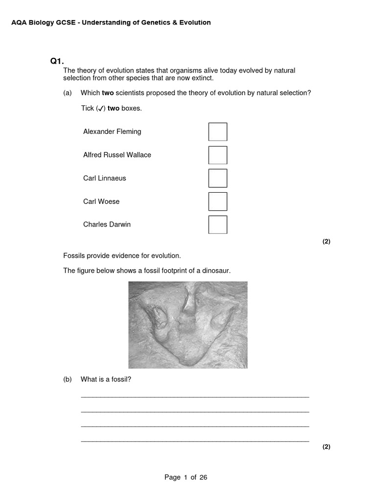 6.3 Understanding of Genetics & Evolution QP | PDF | Evolution | Extinction