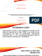 Proyecto Productivo de Pollos