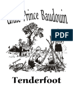 UPB Tenderfoot