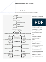 Glucolisis