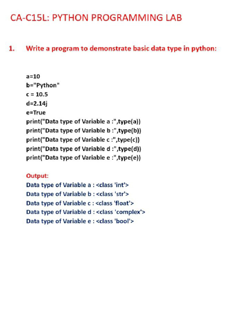 Python Program PDF