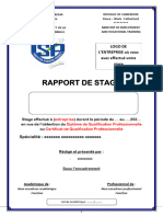Plan-Rapport-Stage DQP CQP