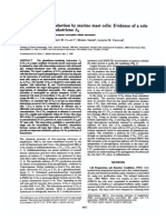 Extracellular Leukotriene: Leukotriene C4 Production by Murine Mast Cells: Evidence of A Role For A4