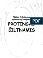 Protingas Siltnamis