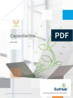 Capacitación Inicial en SAP ERP