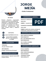 Curriculum Jorge Mejía