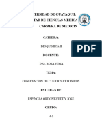 Informe Bioquimica Cuerpos Cetonicos