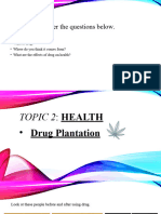 Drug Plantation