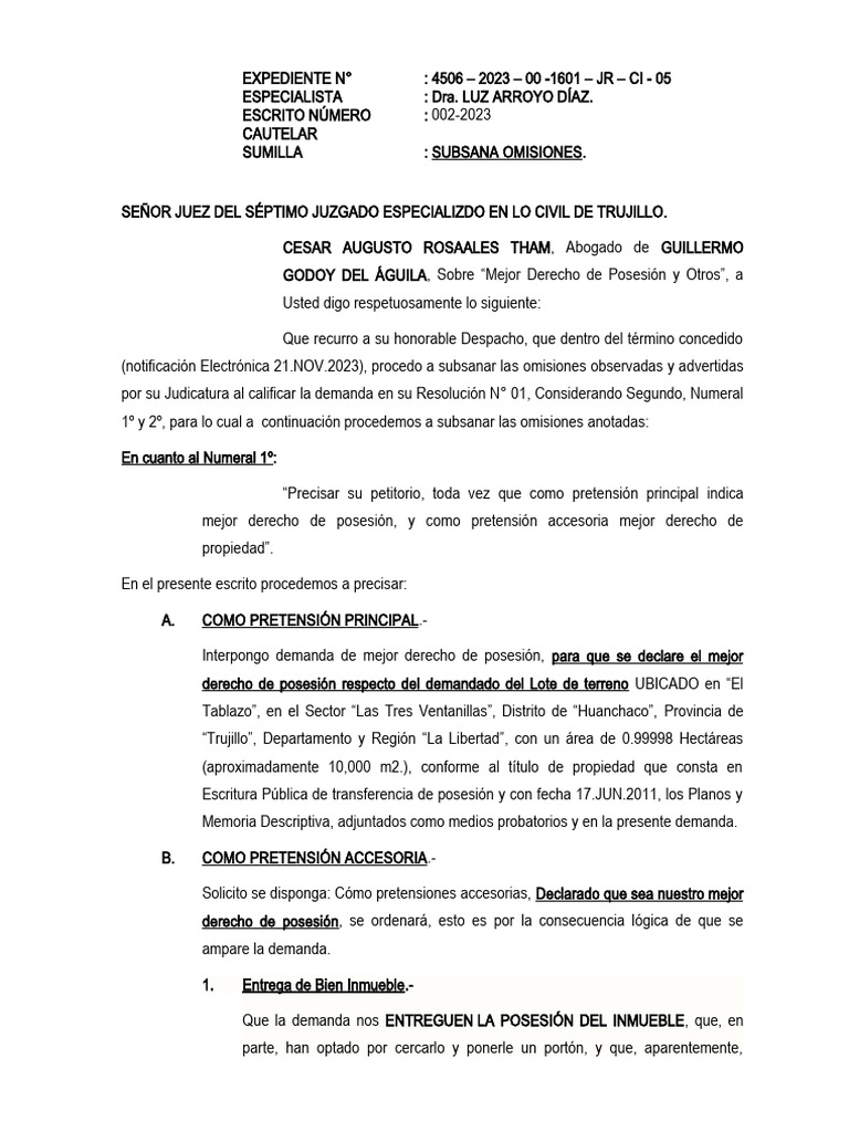 Escrito subsanaci n guillermo pdf demanda judicial justicia