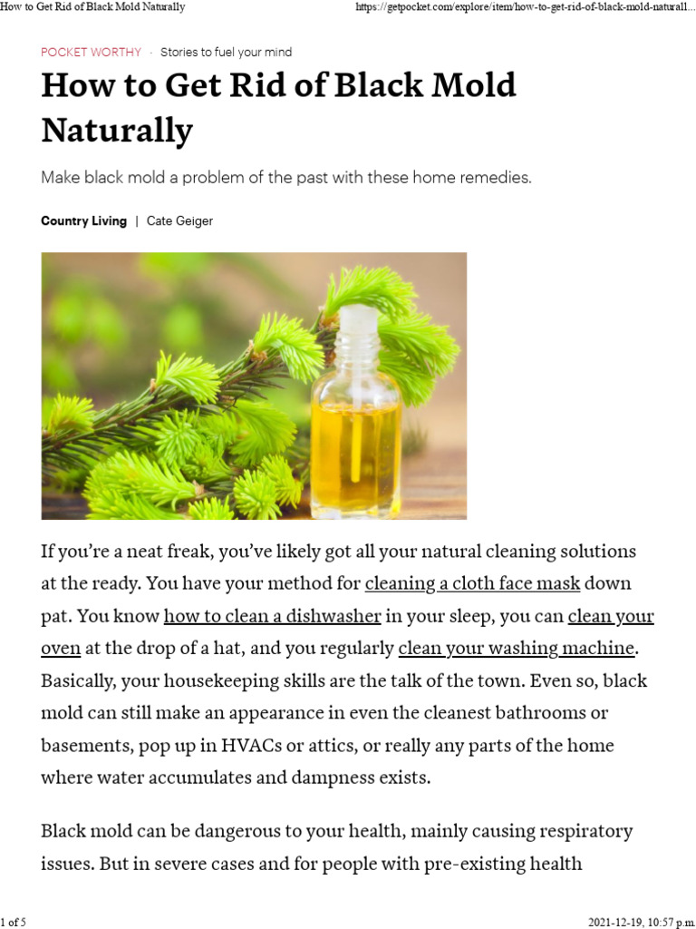 How To Get Rid of Black Mold Naturally | PDF | Mold | Sodium Bicarbonate