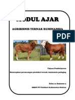 Modul Ajar Agribisnis Ternak Ruminansia - Perancangan Produksi Ternak Pedaging - Fase F