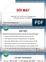 (07) Sỏi mật