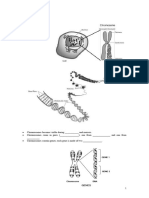 Central Dogma Tutorial 23 3 2022