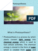 Grade 9 Photosynthesis