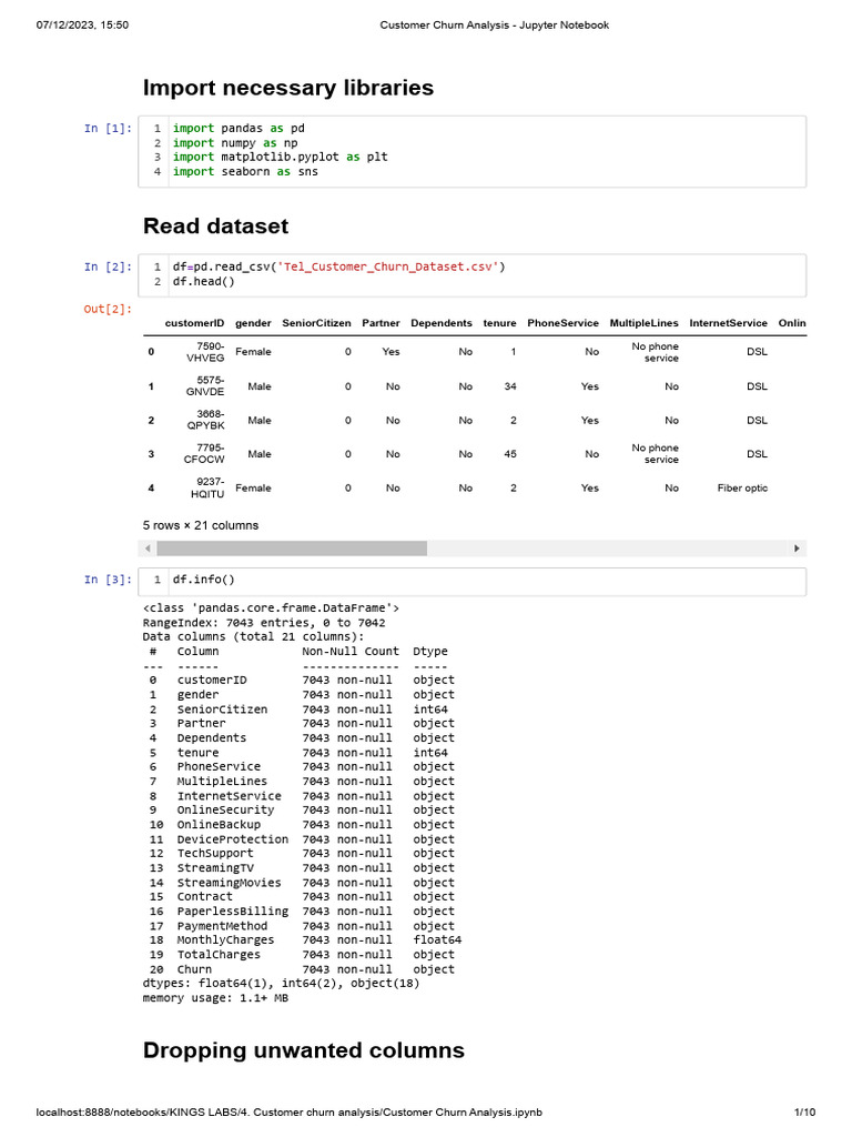 Customer Churn Analysis in Python | PDF | Statistical Theory | Statistics