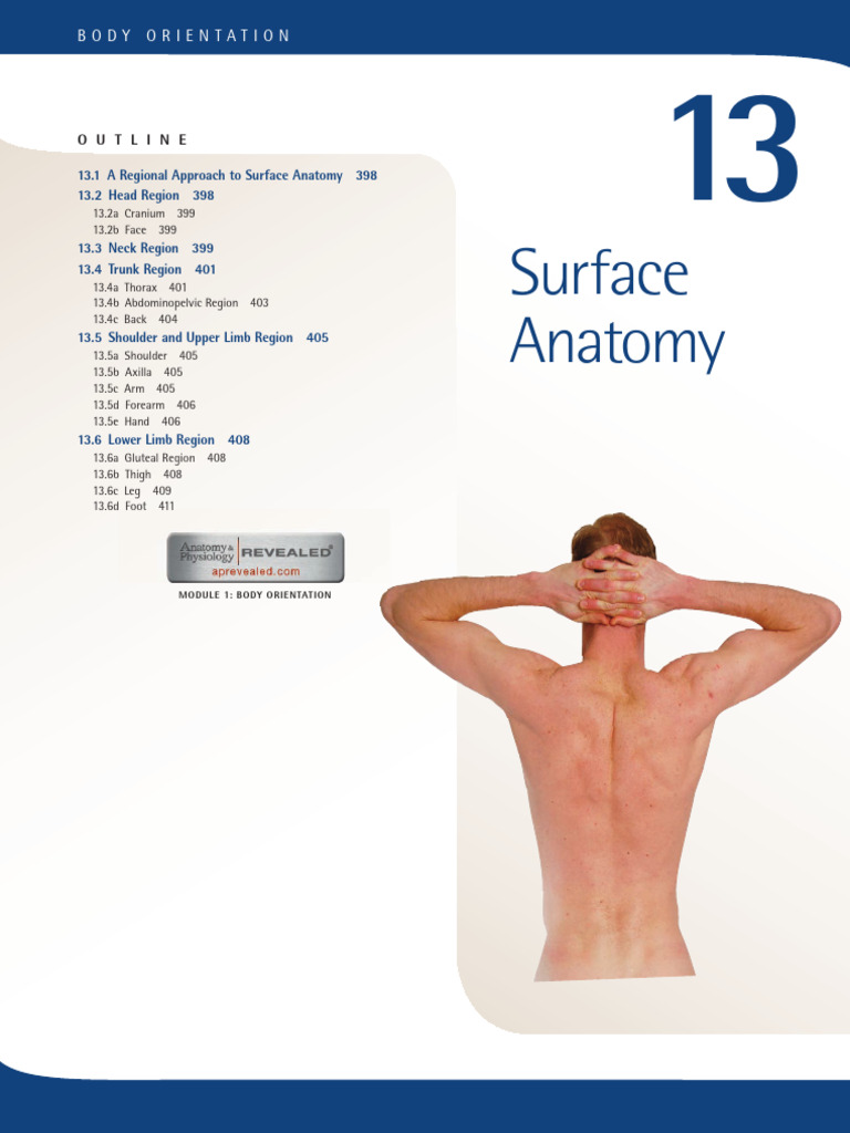 Surface Anatomy Overview and Techniques | PDF