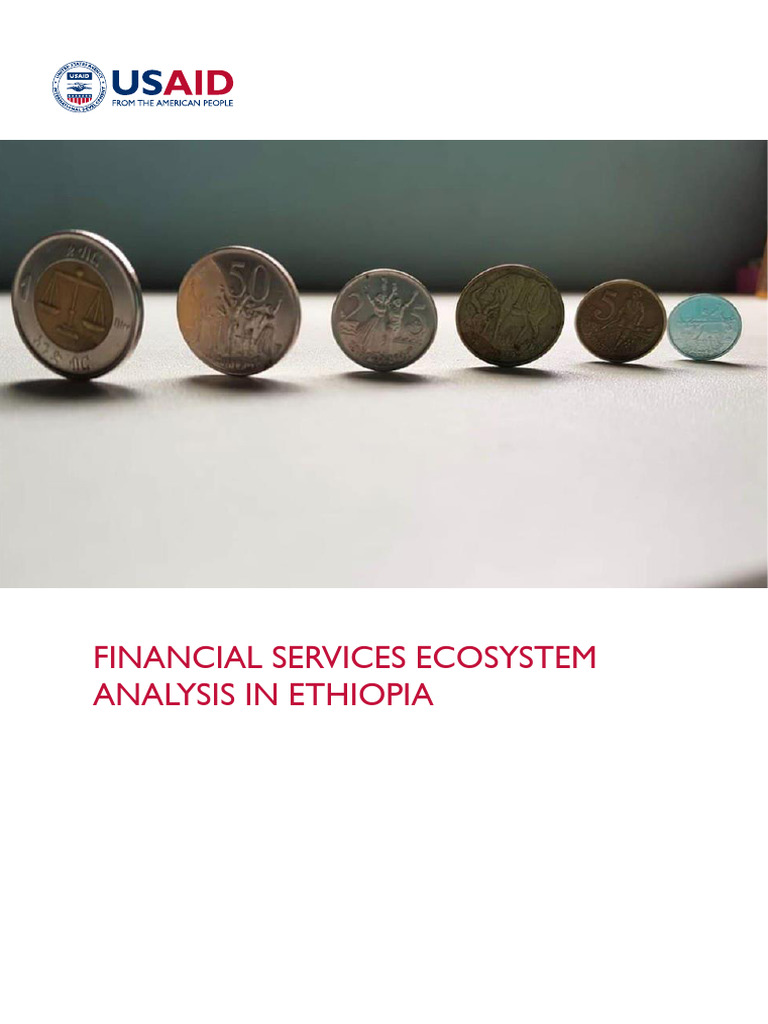 Final FSE Report | PDF | Microfinance | Loans