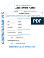 Marcos Cubas Flores: Curriculum Vitae