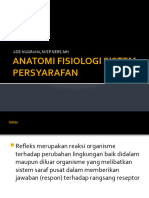 Anatomi Fisiologi Sistem Persyarafan 2