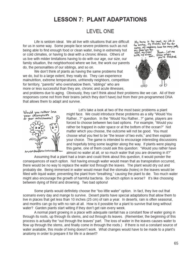 Botany Lesson 7 Level 1 | PDF | Leaf | Flowers