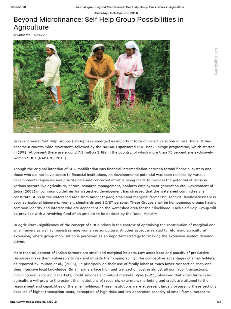 Beyond Microfinance - Self Help Group Possibilities in Agriculture | PDF