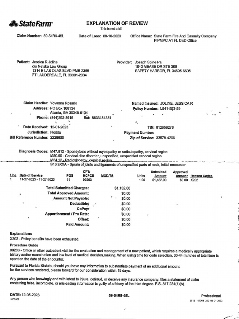 Joline - Statefarm - Explanation of Review | PDF