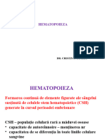 2.hematopoieza CM