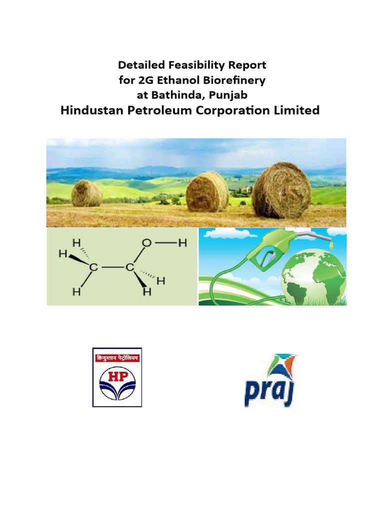 Feasibility Study for 2G Ethanol Plant | PDF | Cellulose | Biofuel