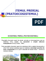 Cursul 2 - Pajistea Ca Ecosistem