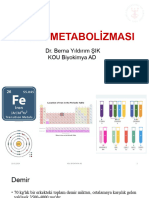 DEMİRMETABOLİZMASI