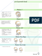 Padrão de Crescimento Ortodontia