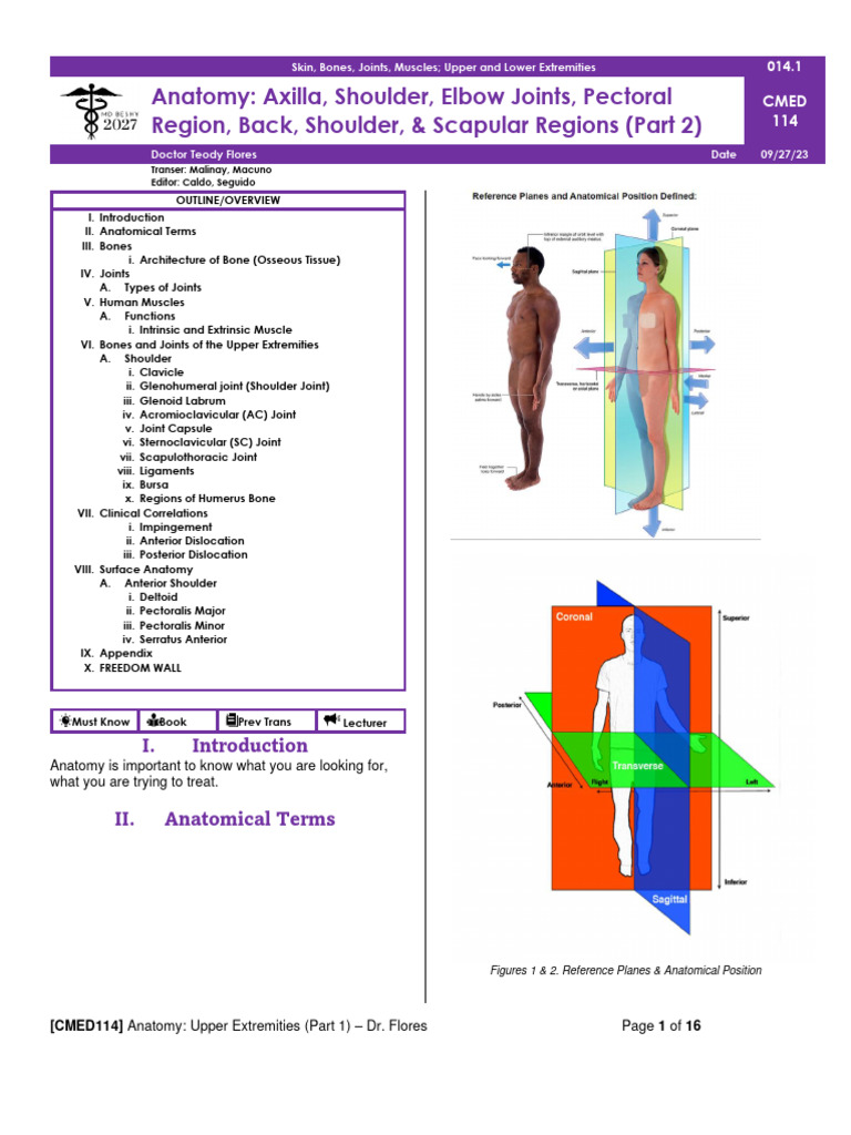 Anatomy of Upper Extremities Explained | PDF | Shoulder | Anatomical ...