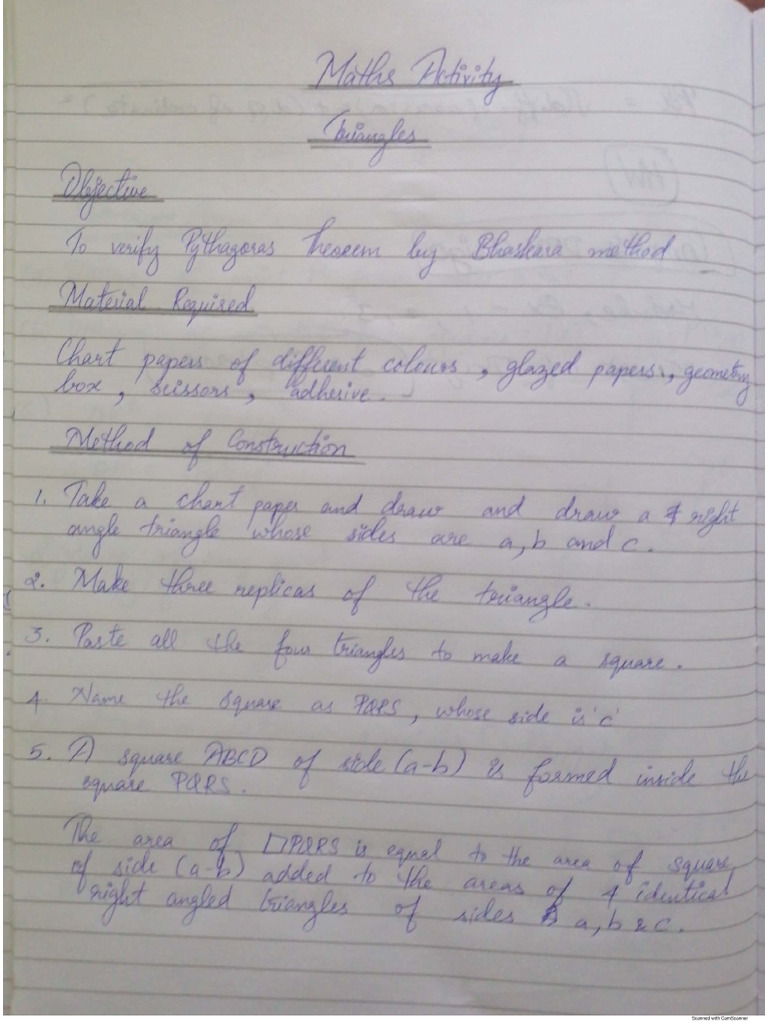 Class 10 Activity 2.1
