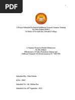 Download Natty Final Project by Piyush Surana SN69902568 doc pdf