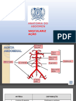 VascularizaÃ§Ã£o do abdÃ´men