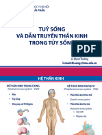 LEC2&3 Tủy sống và các đường dẫn truyền thần kinh