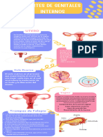 Infografia Desarrollo Infantil Divertido Rosa Amarillo y Azul