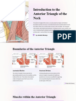 Introduction To The Anterior Triangle of The Neck