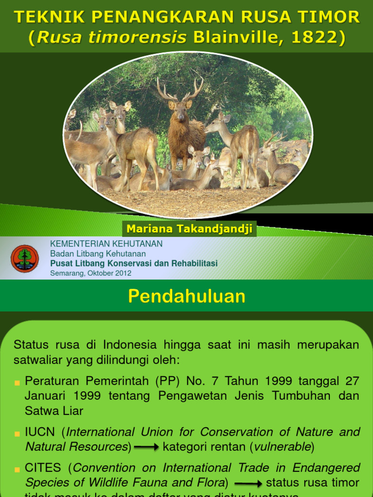 Teknik Penangkaran Rusa Timor (Merry-Smg) | PDF