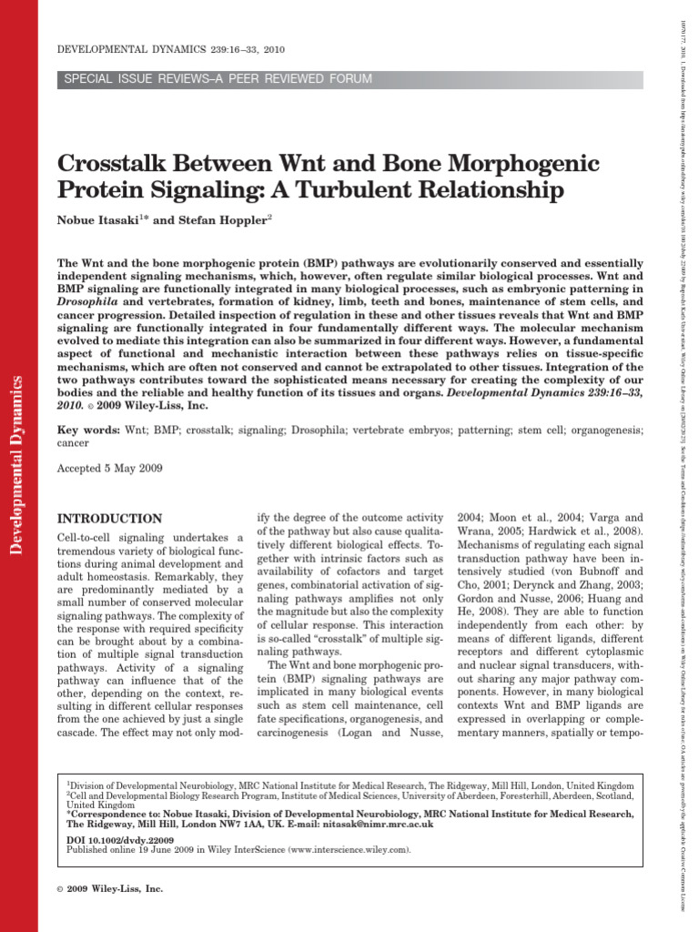 Crosstalk Between WNT and Bone Morphogenic Protein Signaling - A ...