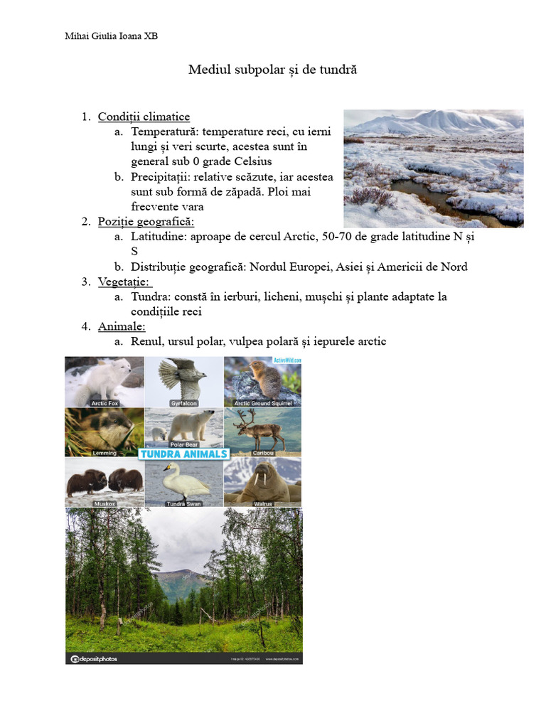 Tipul de Climat Subpolar Si de Tundra | PDF