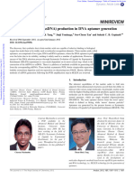 Single-Stranded DNA (ssDNA) Production in DNA Aptamer Generation