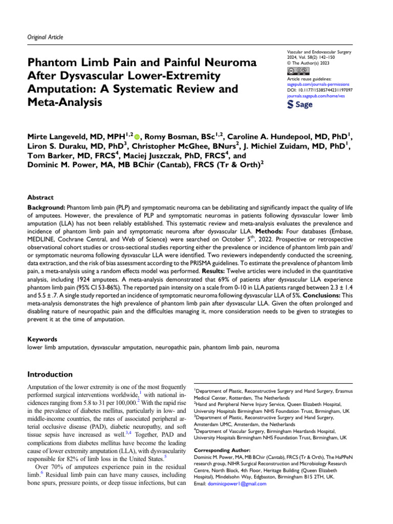 Phantom Limb Pain and Painful Neuroma PDF Amputation Pain
