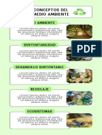 Infografía de Periódico Moderno Ordenado Colorido