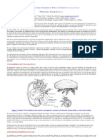 Manual Apícola Para Product Ores > Tolerancia_a_la_varroa