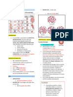 Red Blood Cell Disorders Part 1 and 2