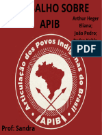 Trabalho Sobre A Apib