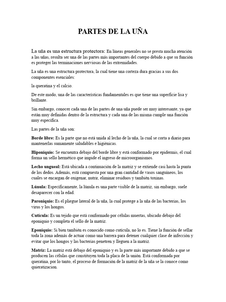 Partes de La Uña | Descargar gratis PDF | Mano | Clavo (anatomía)